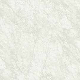 Tropicano Duvar Kağıdı 9906-1