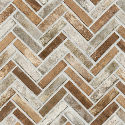 23105-3 Roka Duvar Kağıdı