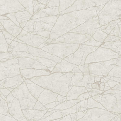 23107-2 Roka Duvar Kağıdı