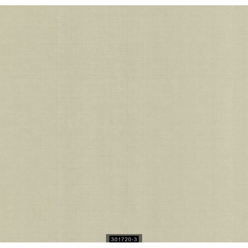 301720-3 Contract Duvar Kağıdı ile Ofis ve Ticari Alanlarınızı Şıklaştırın