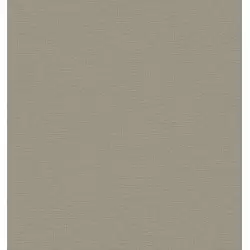 3707-4 Alfa Duvar Kağıdı | Modern ve Şık Duvar Kaplaması