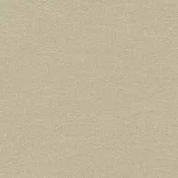 1113-4 Beta Duvar Kağıdı Modeli