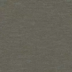 1113-9 Beta Duvar Kağıdı Modeli