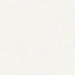 1404-1 Rococo Duvar Kağıdı ile Klasik Zarafeti Mekanlarınıza Getirin