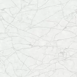 23107-1 Roka Duvar Kağıdı Modeli