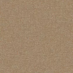 23109-5 Roka Duvar Kağıdı Modeli