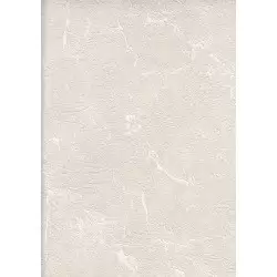 25115-2 Ambiance Duvar Kağıdı ile Sıcak ve Huzurlu Mekanlar Yaratın