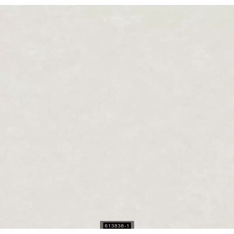 613836-1 Contract Duvar Kağıdı ile Ofis ve Ticari Alanlarınızı Şıklaştırın