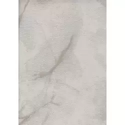 8009-3 Luzern Duvar Kağıdı ile Mekanlarınıza Modern Bir Dokunuş Katın