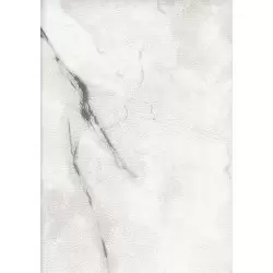 8009-4 Luzern Duvar Kağıdı ile Mekanlarınıza Modern Bir Dokunuş Katın