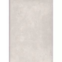 4007-1 Safir Duvar Kağıdı ile Zarafeti Duvarlarınıza Yansıtın