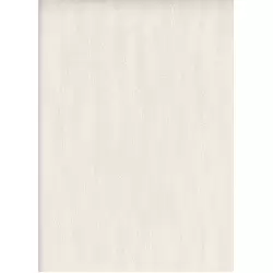 4010-2 Safir Duvar Kağıdı ile Zarafeti Duvarlarınıza Yansıtın