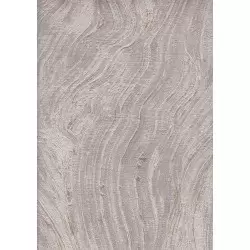 9505-3 Titanium Duvar Kağıdı ile Mekanlarınıza Güçlü Bir Karakter Katın