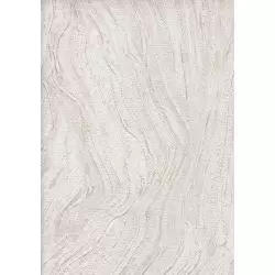 9505-4 Titanium Duvar Kağıdı ile Mekanlarınıza Güçlü Bir Karakter Katın