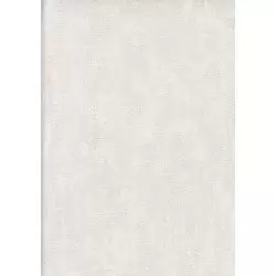 9508-2 Titanium Duvar Kağıdı