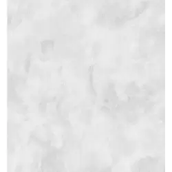 24501-4 Pietra Duvar Kağıdı ile Doğallığı Duvarlarınıza Taşıyın